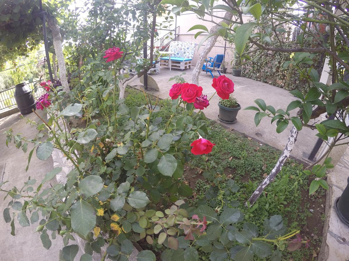 Holiday Home Free Your Mind Dobra Voda Exterior foto